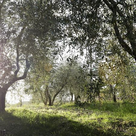 Country House Sofiavillas Gaiole in Chianti Dış mekan fotoğraf